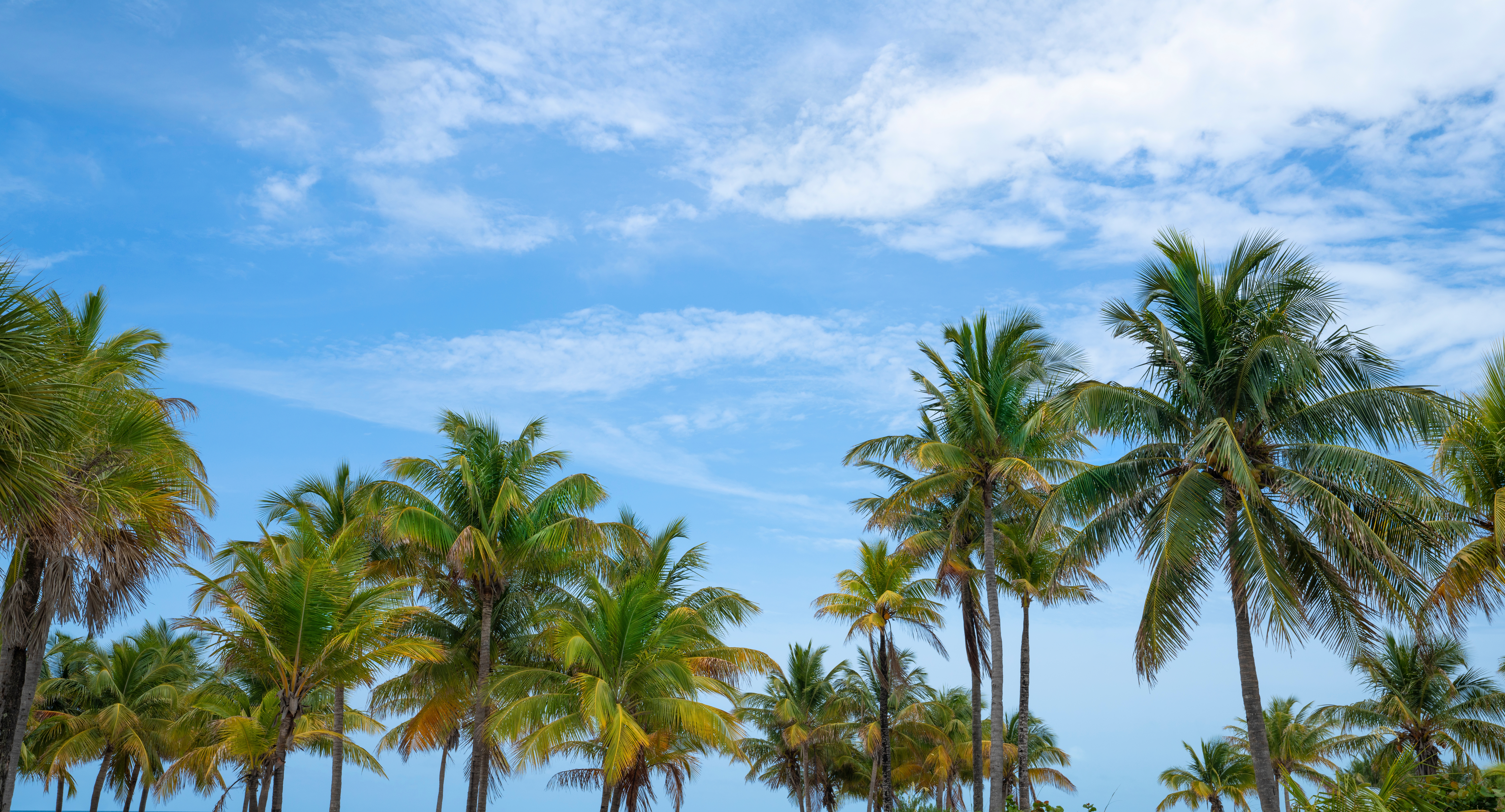 Pediatric dentistry appointment in Plantation